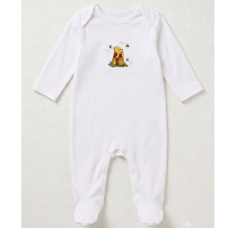KW110: Baby DTF Printed All In one Sleepsuit- Honey Bear (3-12 months)